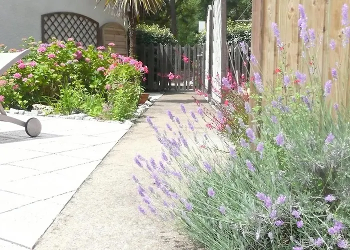 杜涅乡村俱乐部酒店 苏斯通