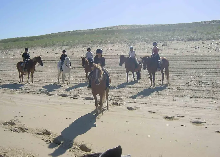 Feriepark Village Club Dunea *