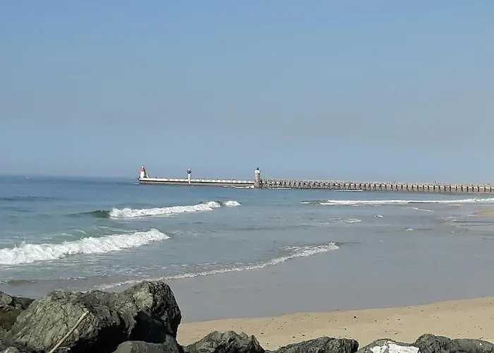 Feriepark Village Club Dunea *